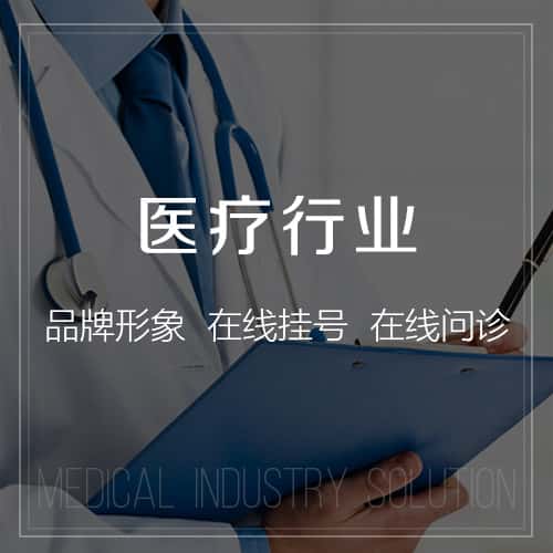 文昌医疗行业
