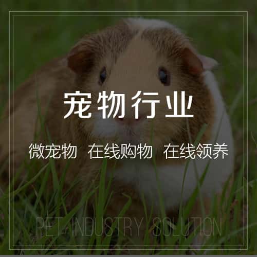 文昌宠物