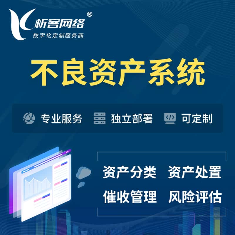 文昌不良资产管理系统
